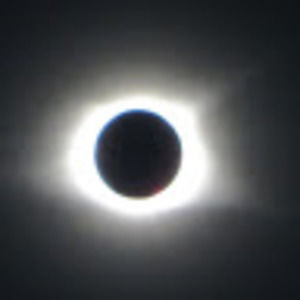 Meet your Posher, Rose